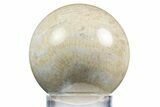 Polished Agatized Fossil Coral Sphere - Indonesia #311529-1